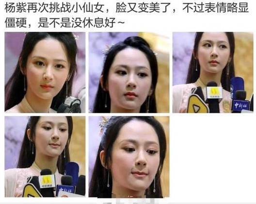 杨紫霸气回怼 大只500彩票平台